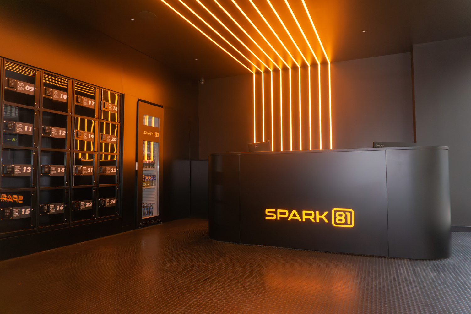 Galería SPARK81
